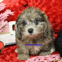 processed/2fba1e28-732e-4062-9c47-aa8a0c53c536/listing/c9983b28-8a26-4582-870f-dbf2db113d62/b6e36ea1-f948-4fa3-a195-92c0fd17c50f