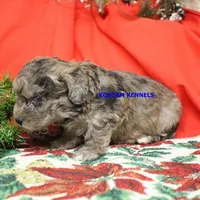 processed/2fba1e28-732e-4062-9c47-aa8a0c53c536/listing/c9983b28-8a26-4582-870f-dbf2db113d62/eec6712b-4d47-4e47-bc7d-7235e671f33f