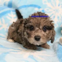 processed/2fba1e28-732e-4062-9c47-aa8a0c53c536/listing/c9983b28-8a26-4582-870f-dbf2db113d62/f7e14abc-30f9-43c5-806f-87435d108913