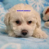 processed/2fba1e28-732e-4062-9c47-aa8a0c53c536/listing/cd86ba9e-9be9-443a-a810-00e12e490d93/2bbc352d-7d57-42b8-a250-46c43ba33e7c