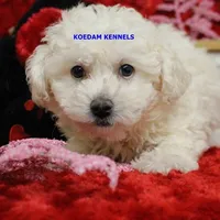 processed/2fba1e28-732e-4062-9c47-aa8a0c53c536/listing/cd86ba9e-9be9-443a-a810-00e12e490d93/40617077-311c-4c5c-b6d5-faaef276af51