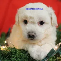 processed/2fba1e28-732e-4062-9c47-aa8a0c53c536/listing/cd86ba9e-9be9-443a-a810-00e12e490d93/409784e6-8214-4b1c-bf33-a6d3439451cf