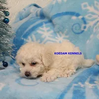 processed/2fba1e28-732e-4062-9c47-aa8a0c53c536/listing/cd86ba9e-9be9-443a-a810-00e12e490d93/d43b08b8-25bc-48bc-9ea2-0e40fc508c49