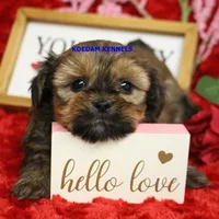 processed/2fba1e28-732e-4062-9c47-aa8a0c53c536/listing/d25d54f2-148b-42d3-a11a-6607d128cd38/735d0b25-0a74-44d6-bfeb-ca861d748a24