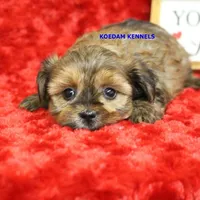 processed/2fba1e28-732e-4062-9c47-aa8a0c53c536/listing/d25d54f2-148b-42d3-a11a-6607d128cd38/81a8a7d5-5af3-47d6-a981-aa4bcd658fdd