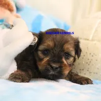 processed/2fba1e28-732e-4062-9c47-aa8a0c53c536/listing/d25d54f2-148b-42d3-a11a-6607d128cd38/95a8e4b9-179b-44d8-988f-2cf680f49909