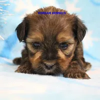 processed/2fba1e28-732e-4062-9c47-aa8a0c53c536/listing/d25d54f2-148b-42d3-a11a-6607d128cd38/fe12970b-558f-4c4d-8775-9efef96f28ac