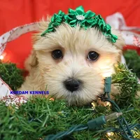 processed/2fba1e28-732e-4062-9c47-aa8a0c53c536/listing/e5b2daff-8d1a-4275-b34a-cfd089c12cca/10bc6ac7-fde1-4ec6-b5e2-e54f8807126c