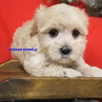 processed/2fba1e28-732e-4062-9c47-aa8a0c53c536/listing/e5b2daff-8d1a-4275-b34a-cfd089c12cca/dae86727-0361-41d9-82a4-61c6685eb4f7