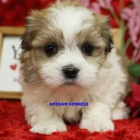 processed/2fba1e28-732e-4062-9c47-aa8a0c53c536/listing/edec1f63-5172-4e4f-a770-f44b7c40ccb0/07666796-1f16-475e-918a-17bc486053d8