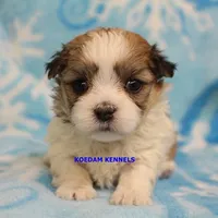 processed/2fba1e28-732e-4062-9c47-aa8a0c53c536/listing/edec1f63-5172-4e4f-a770-f44b7c40ccb0/322da4d1-1669-4ef1-835c-23c7f1a611b3