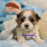 processed/2fba1e28-732e-4062-9c47-aa8a0c53c536/listing/edec1f63-5172-4e4f-a770-f44b7c40ccb0/839b595b-b7c5-4c83-b6e0-b72ff9ad6b14