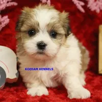 processed/2fba1e28-732e-4062-9c47-aa8a0c53c536/listing/edec1f63-5172-4e4f-a770-f44b7c40ccb0/c1a7908c-6d6a-43d1-ba27-0fae98193a1f