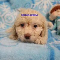 processed/2fba1e28-732e-4062-9c47-aa8a0c53c536/listing/f462345b-c721-415f-87f6-d012f9ad1f6e/94b03079-83fc-4a71-aeb7-2b4929e53db9