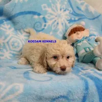 processed/2fba1e28-732e-4062-9c47-aa8a0c53c536/listing/f462345b-c721-415f-87f6-d012f9ad1f6e/ba5b74ae-ba1f-4b97-a825-c99860f16fc1