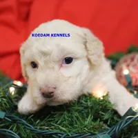 processed/2fba1e28-732e-4062-9c47-aa8a0c53c536/listing/f462345b-c721-415f-87f6-d012f9ad1f6e/bae13195-71e9-43b2-99dd-1a08a35223c1