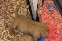 processed/2fbaa0e5-e0dd-4ed8-94c1-cd51cb3c4e41/listing/40b27435-de2f-499f-95b6-b340358a13cc/0ec388e3-5177-4bfb-8d30-2374b5baedf8