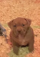 processed/2fbaa0e5-e0dd-4ed8-94c1-cd51cb3c4e41/listing/40b27435-de2f-499f-95b6-b340358a13cc/f29a8553-a621-482d-acd4-c25428cf1b93