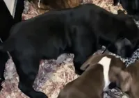 processed/2fbaa0e5-e0dd-4ed8-94c1-cd51cb3c4e41/listing/5284dbfd-d2fc-47c6-b00d-011abb97d02a/13814a2d-3078-4533-86cd-8b677c71e41b