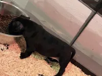 processed/2fbaa0e5-e0dd-4ed8-94c1-cd51cb3c4e41/listing/5284dbfd-d2fc-47c6-b00d-011abb97d02a/53e11c79-8aa4-4679-a022-89f93969fa29