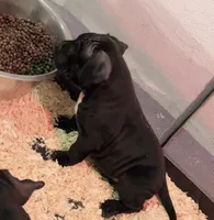 processed/2fbaa0e5-e0dd-4ed8-94c1-cd51cb3c4e41/listing/5284dbfd-d2fc-47c6-b00d-011abb97d02a/6ddba3f4-8c8c-4543-8445-d8fd2d669401