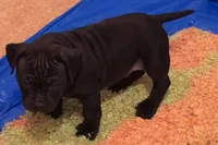 processed/2fbaa0e5-e0dd-4ed8-94c1-cd51cb3c4e41/listing/5284dbfd-d2fc-47c6-b00d-011abb97d02a/baa53c43-6eee-45bf-95bd-5d73fc2cd9b7