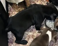 processed/2fbaa0e5-e0dd-4ed8-94c1-cd51cb3c4e41/listing/5284dbfd-d2fc-47c6-b00d-011abb97d02a/f92095f6-f4fb-464e-b0c9-1dfdc85fc75b