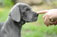 processed/2fbb4d3f-1a61-44dd-b51c-dad8f3ecba77/facility/05b01101-9986-4a60-8b9f-3070cad177a3