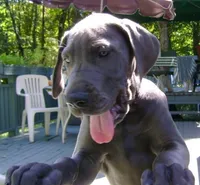 processed/2fbb4d3f-1a61-44dd-b51c-dad8f3ecba77/facility/0fa73742-8c38-45e1-8df6-e25ce4f8cfaa