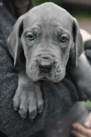 processed/2fbb4d3f-1a61-44dd-b51c-dad8f3ecba77/facility/4aae8208-3b34-4ef1-909c-068b7ed0cfe4