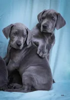 processed/2fbb4d3f-1a61-44dd-b51c-dad8f3ecba77/facility/528f4dc6-544d-4e2a-a8bd-65d6f51953b0