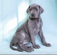 processed/2fbb4d3f-1a61-44dd-b51c-dad8f3ecba77/facility/d02784ed-1c6f-4cc1-bde0-a2e2da1aec0e