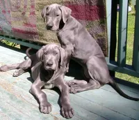 processed/2fbb4d3f-1a61-44dd-b51c-dad8f3ecba77/facility/d3f83374-d7ba-4e14-a20a-fb1571aa08fb