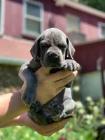 processed/2fbb4d3f-1a61-44dd-b51c-dad8f3ecba77/facility/d57c3345-6ca8-4096-a55d-d0be91102f57