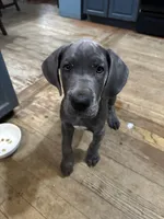 processed/2fbb4d3f-1a61-44dd-b51c-dad8f3ecba77/facility/d661bf81-4821-4ebe-96ba-d096afc5c601