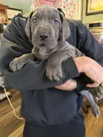 processed/2fbb4d3f-1a61-44dd-b51c-dad8f3ecba77/facility/ee8b5373-da72-48ab-8efa-ae501b0ee63b