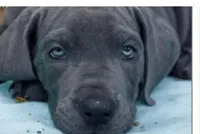 processed/2fbb4d3f-1a61-44dd-b51c-dad8f3ecba77/listing/1585fd49-6f06-4d8f-812e-2db34287cda5/8f40addc-c338-4e17-a78f-af1e7949977a