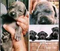 processed/2fbb4d3f-1a61-44dd-b51c-dad8f3ecba77/listing/a165fab0-1f41-4f7a-a7ff-4d0ca6a5b4a7/345ab11a-059d-45f6-a8bf-4ed8985004b7