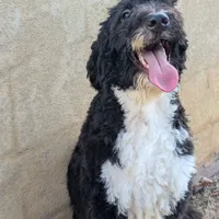 processed/2fd2cfcc-5ba3-44bd-80b3-f047e79573b5/facility/a7bad0b5-3745-4c0b-bf41-92ae4325a3b4