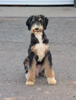 processed/2fd2cfcc-5ba3-44bd-80b3-f047e79573b5/listing/28f794b6-003a-49bd-be7f-a02c50b378aa/2676a7af-a06b-4117-a85a-b430f7f03aa7