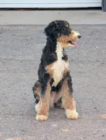 processed/2fd2cfcc-5ba3-44bd-80b3-f047e79573b5/listing/28f794b6-003a-49bd-be7f-a02c50b378aa/ace426e0-7a79-43f7-b699-72e8ef7f50f5