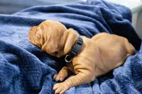 processed/2fd4286a-d102-4c54-a77a-8950c8d497e8/listing/0a60d62a-8efc-4bc7-b514-839713f7491d/21915443-cf09-4e6c-a2da-6d163bac8000