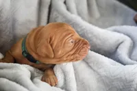 processed/2fd4286a-d102-4c54-a77a-8950c8d497e8/listing/0f5618a0-03f4-4655-b990-e9b76754af0c/22d398cf-a571-41bc-a385-b38312e16d20