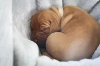 processed/2fd4286a-d102-4c54-a77a-8950c8d497e8/listing/156ffd3f-5daf-48f2-823e-59a5dd579f7c/2fb9813a-4a43-4d54-908b-a2cecf501418