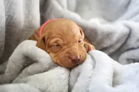 processed/2fd4286a-d102-4c54-a77a-8950c8d497e8/listing/634cfb14-db54-4338-950c-07cff1dcac1b/fcde489a-1c6f-46d9-bb28-886acc809ea7