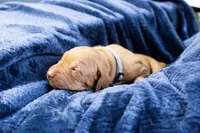 processed/2fd4286a-d102-4c54-a77a-8950c8d497e8/listing/84ea3afb-2c26-4181-a618-9ef257f442eb/6e6b1272-1fe8-4812-b93e-f99c3532b506