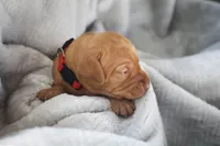 processed/2fd4286a-d102-4c54-a77a-8950c8d497e8/listing/992557ff-2cdf-4865-846e-f1a1fdcbeb43/d9f2bcb2-3a71-4e89-ac87-8dec1a1999d4