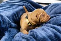 processed/2fd4286a-d102-4c54-a77a-8950c8d497e8/listing/9cc12be9-5f01-4243-8e15-0f7810d88fb1/34e8de54-8ebe-4bb9-a90b-5901dcdced2a