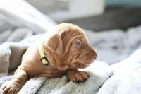 processed/2fd4286a-d102-4c54-a77a-8950c8d497e8/listing/9cc12be9-5f01-4243-8e15-0f7810d88fb1/f43ac890-d67e-4bb9-b296-7882a055e778