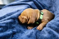 processed/2fd4286a-d102-4c54-a77a-8950c8d497e8/listing/e9ae9f4b-a225-4e9e-ae63-a4f93eaede74/eb0e3556-6c88-4a55-9398-323f6ab7aba3